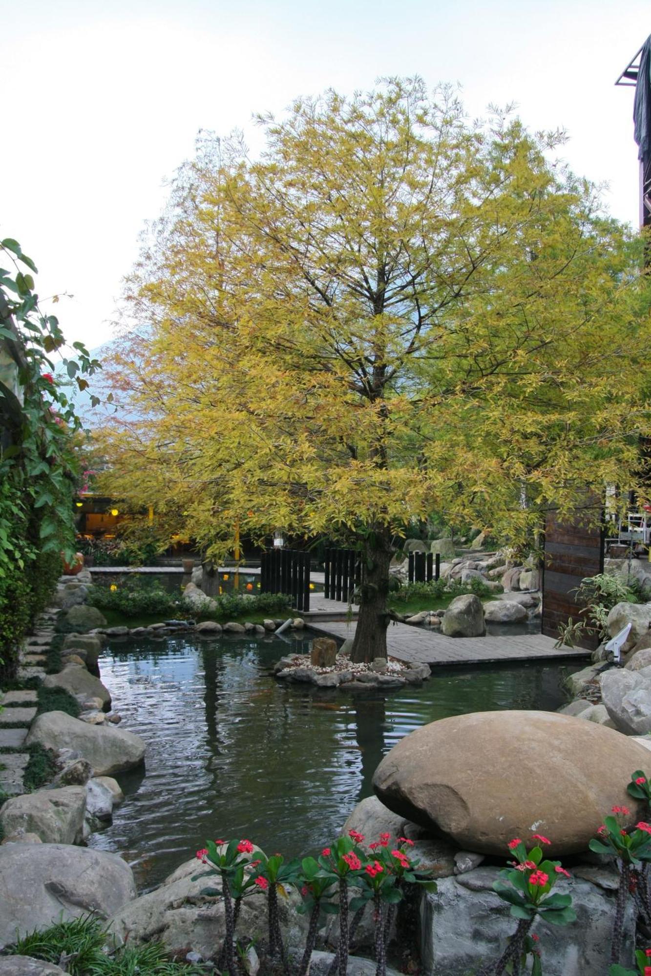 Tai-Yi Red Maple Resort Пули Экстерьер фото